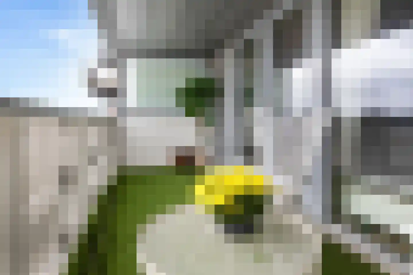 De Steven 29 Zaandam thumbnail 32