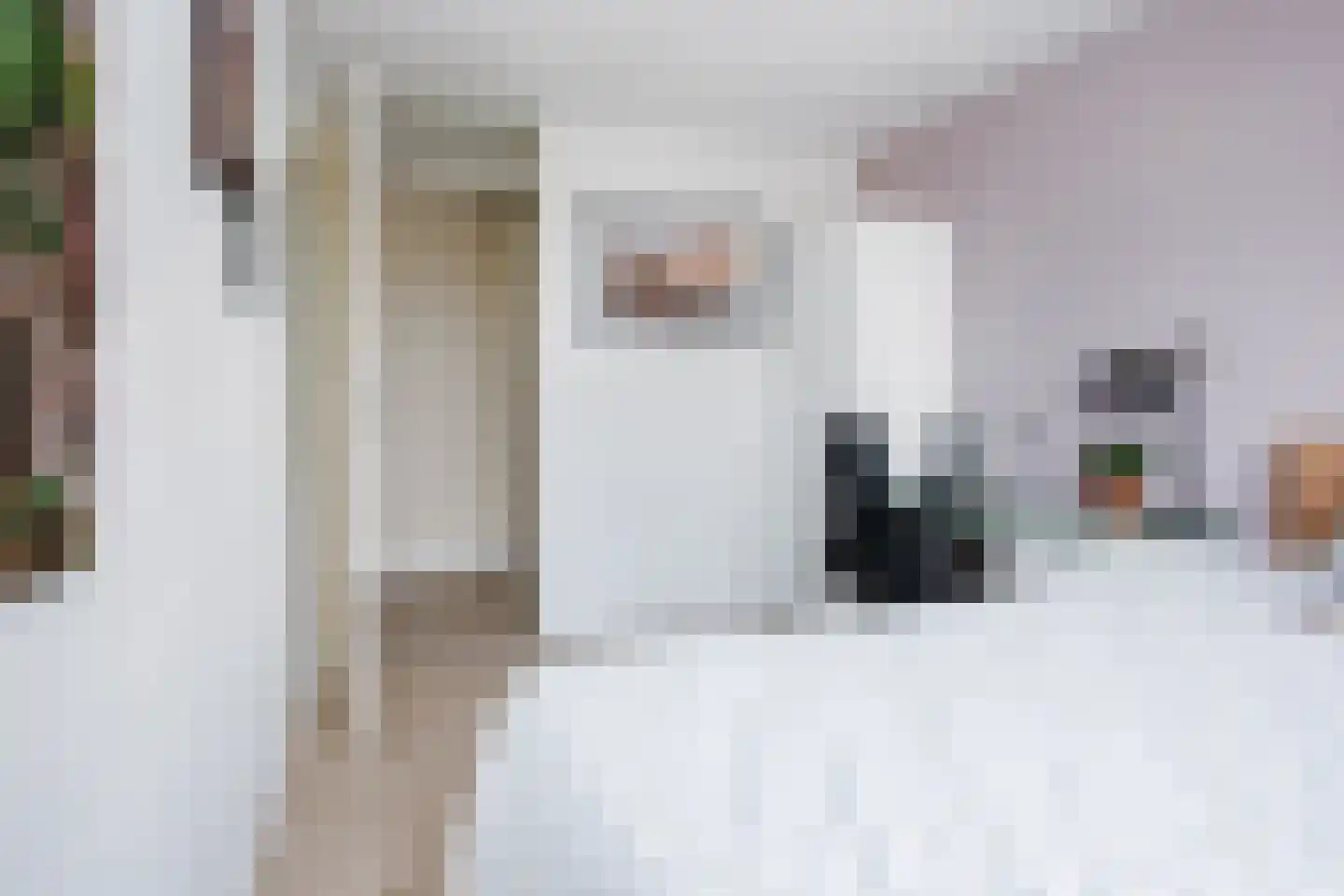 De Steven 29 Zaandam thumbnail 36