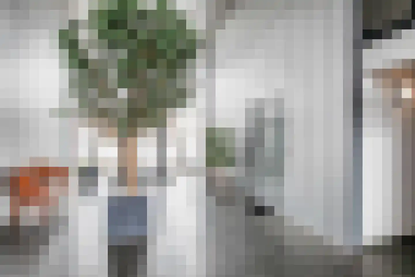 De Steven 29 Zaandam thumbnail 6