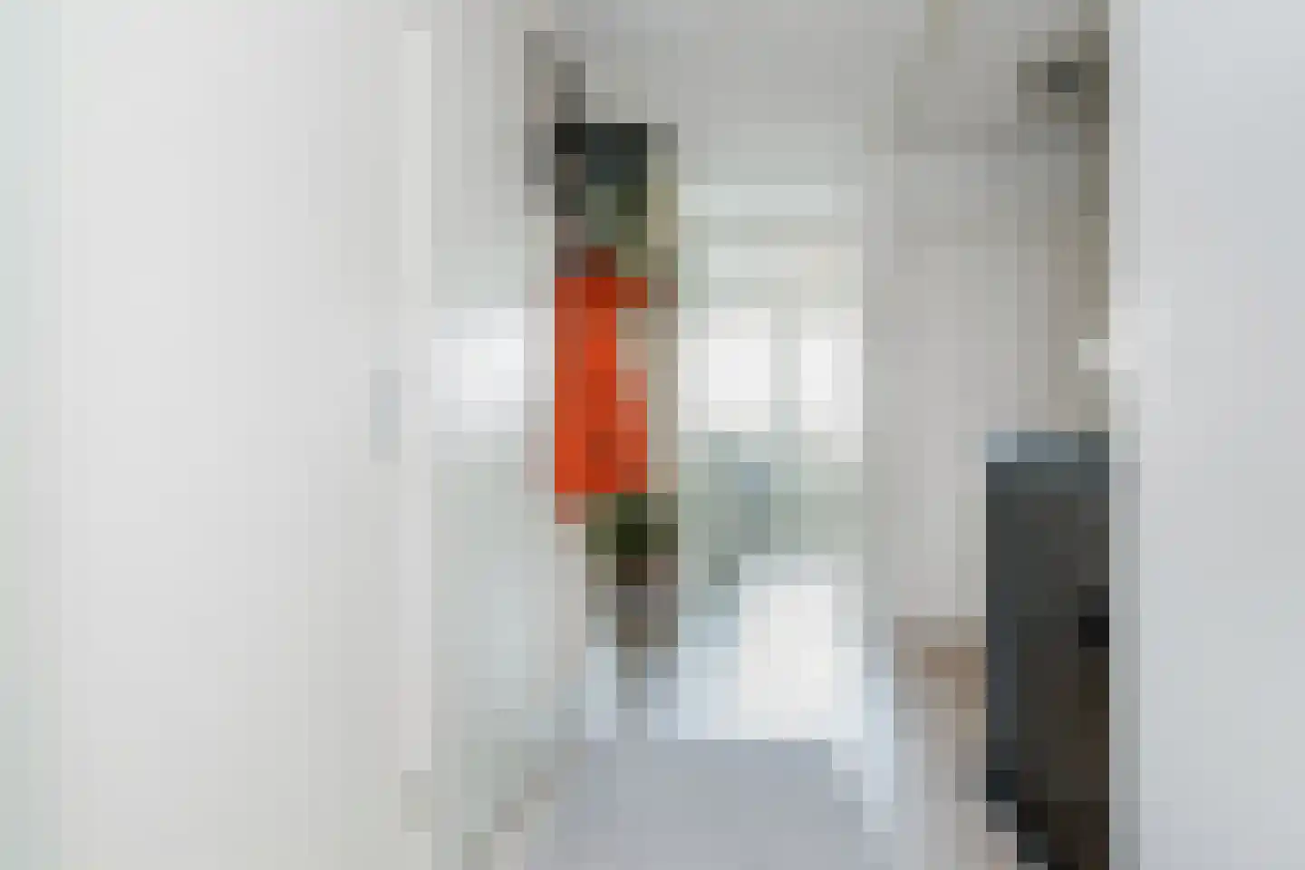 De Steven 29 Zaandam thumbnail 7