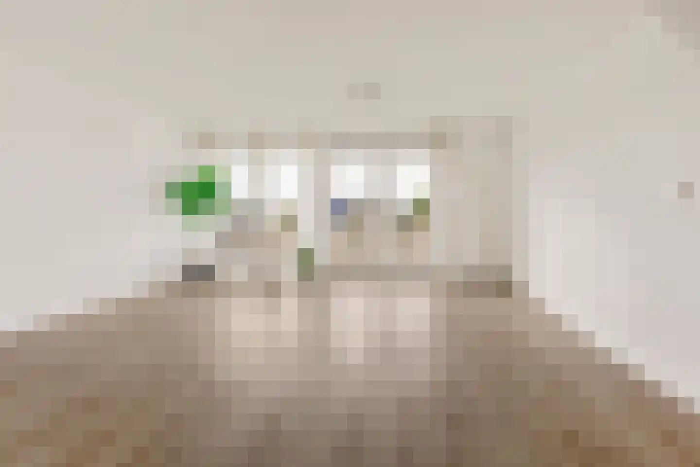 De Steven 29 Zaandam thumbnail 8