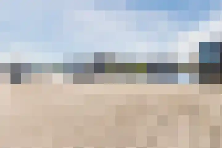De Steven 35 Zaandam thumbnail 26