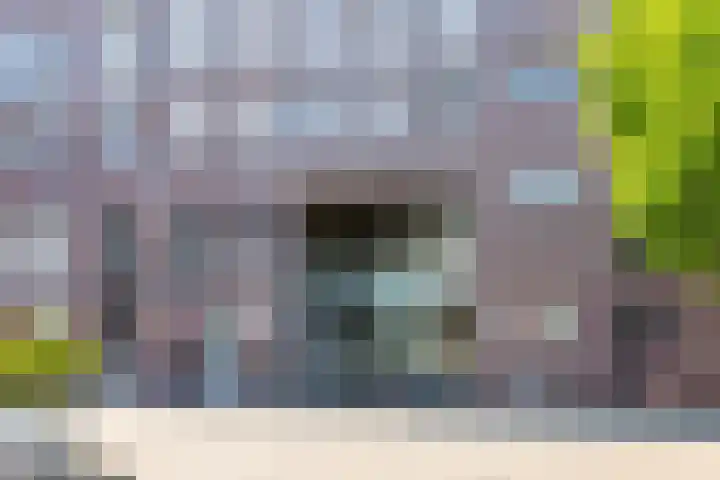 De Steven 35 Zaandam thumbnail 7