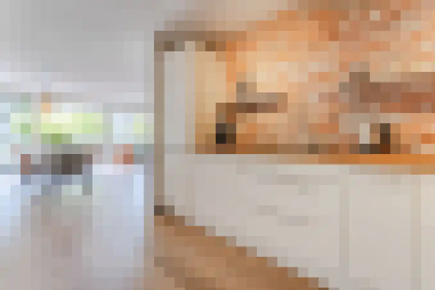 De Steven 38 Zaandam thumbnail 20