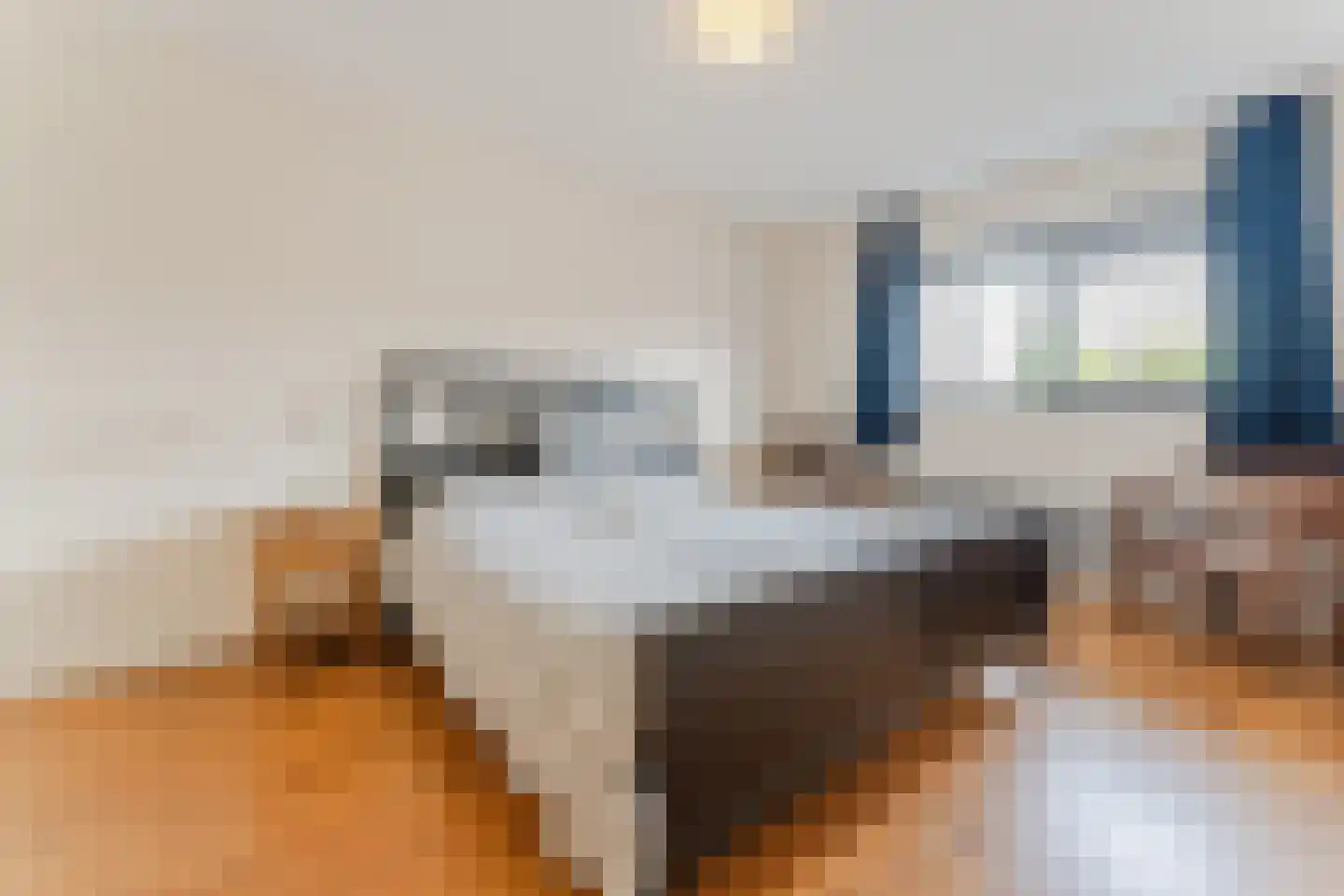 De Steven 38 Zaandam thumbnail 22