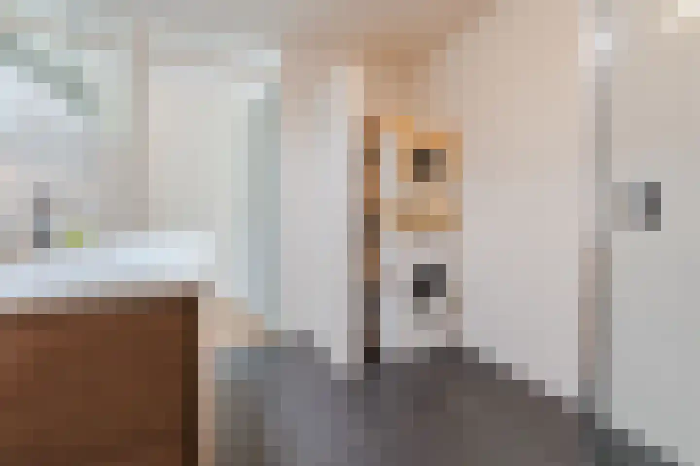 De Steven 38 Zaandam thumbnail 28