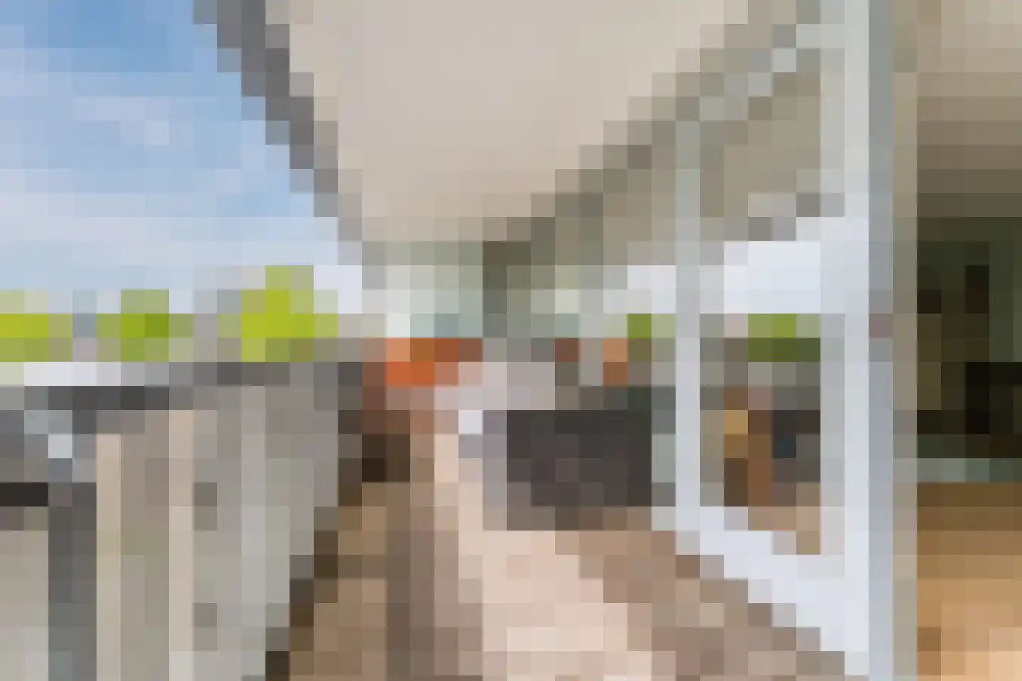 De Steven 38 Zaandam thumbnail 29