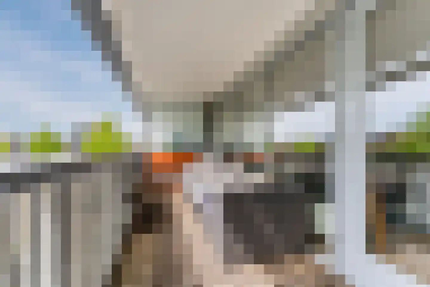 De Steven 38 Zaandam thumbnail 30