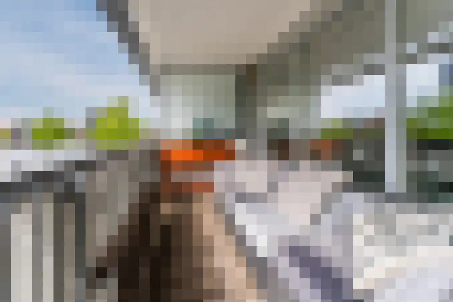 De Steven 38 Zaandam thumbnail 31