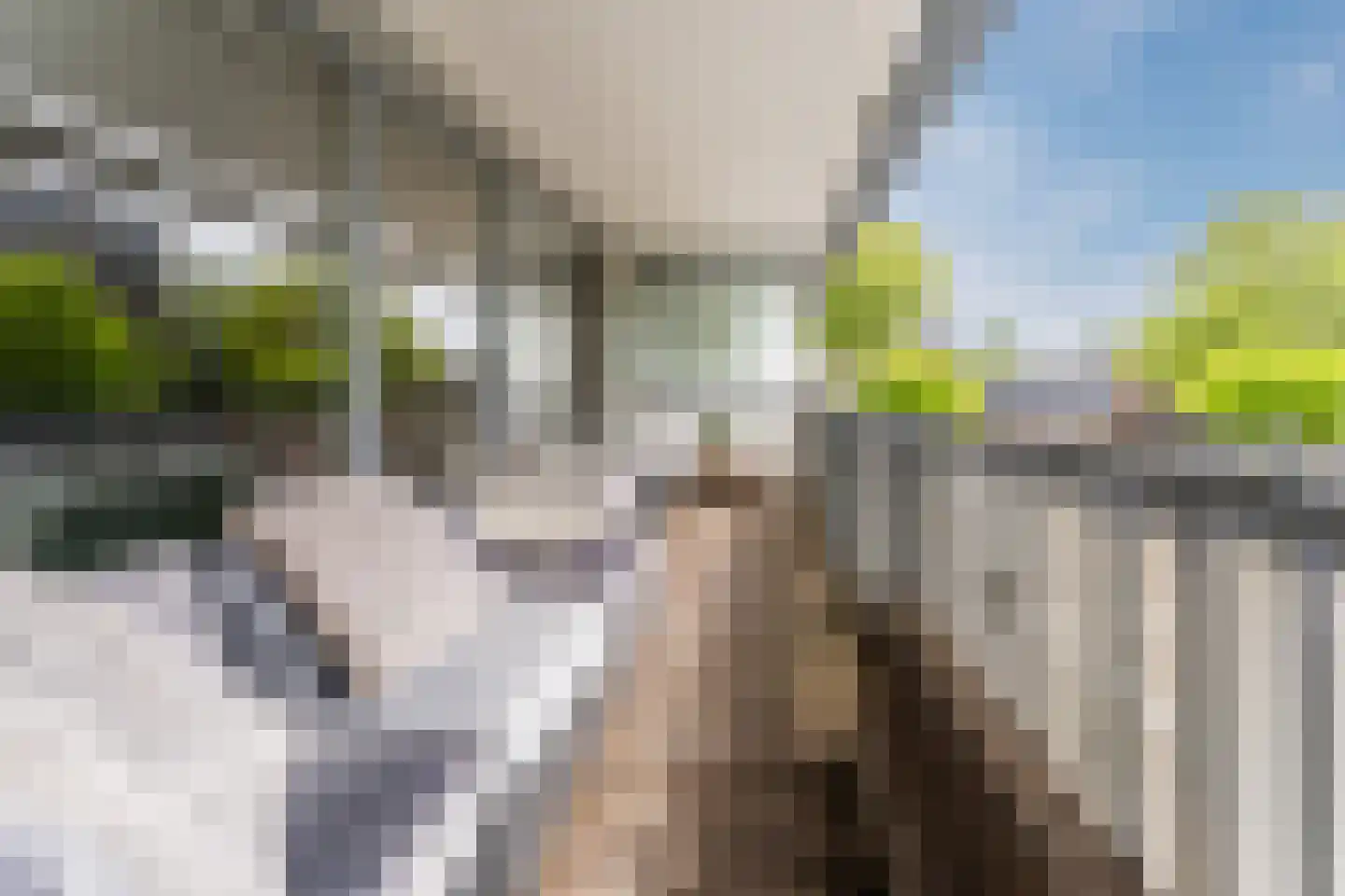 De Steven 38 Zaandam thumbnail 32