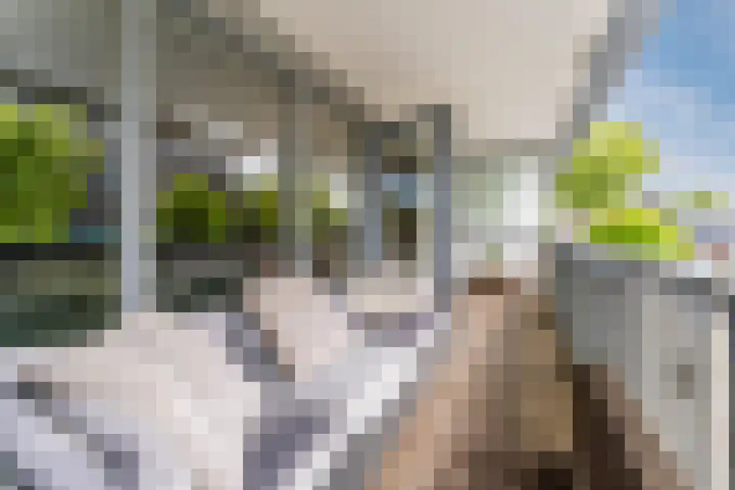De Steven 38 Zaandam thumbnail 5