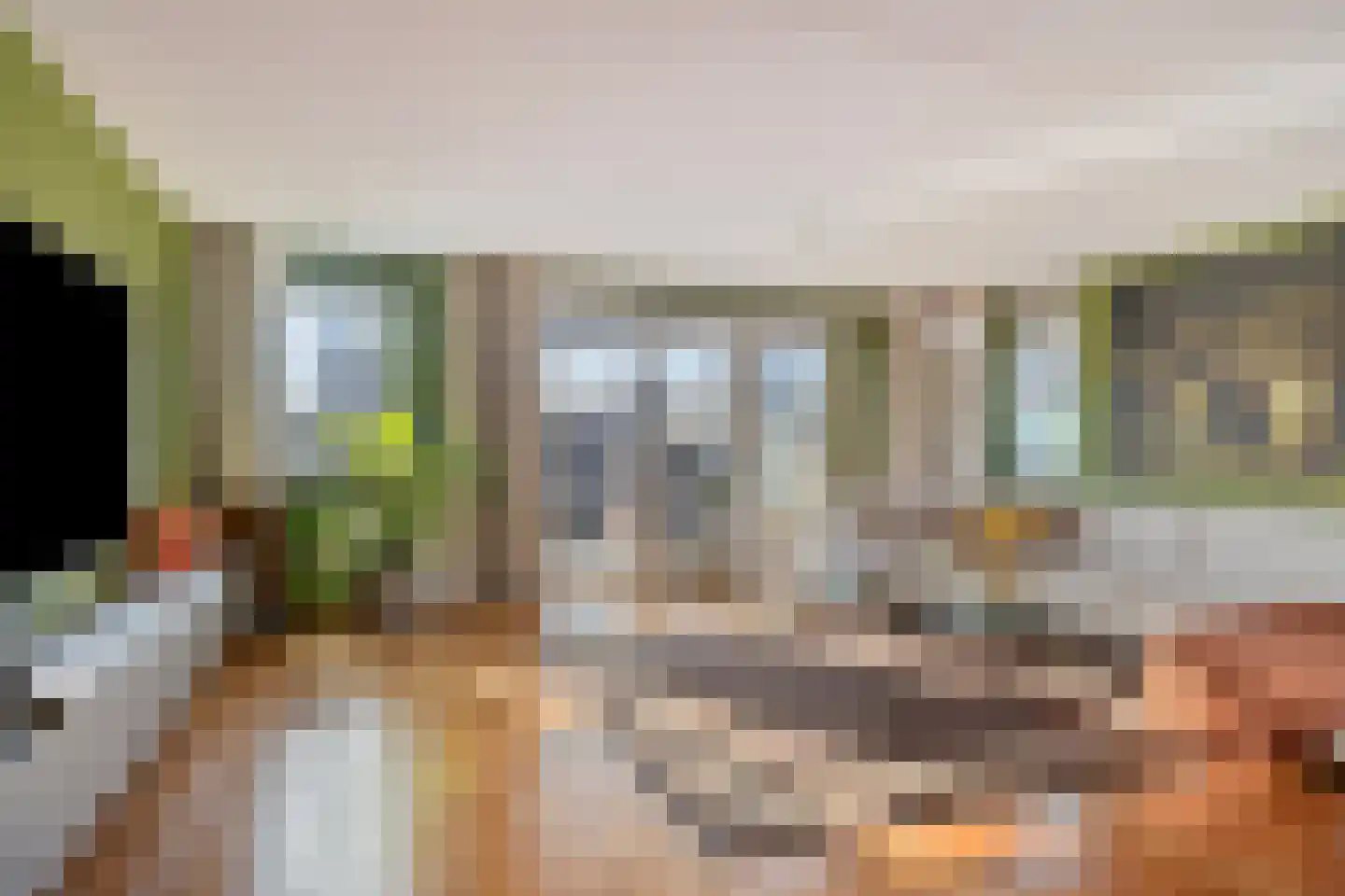 De Steven 5 Zaandam thumbnail 10