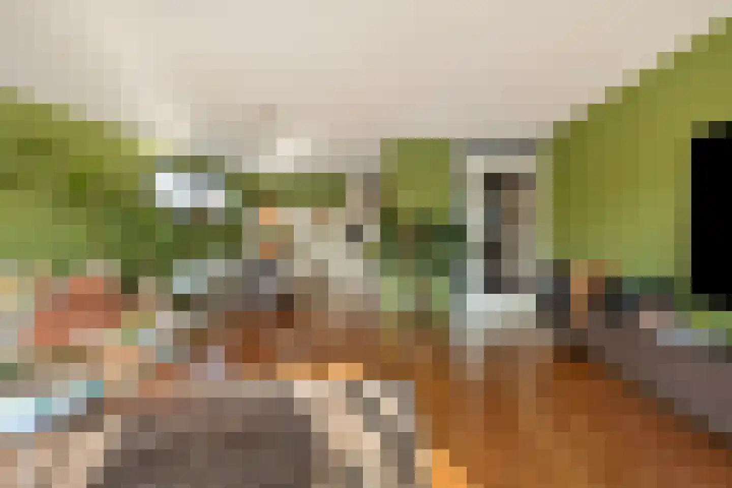 De Steven 5 Zaandam thumbnail 12