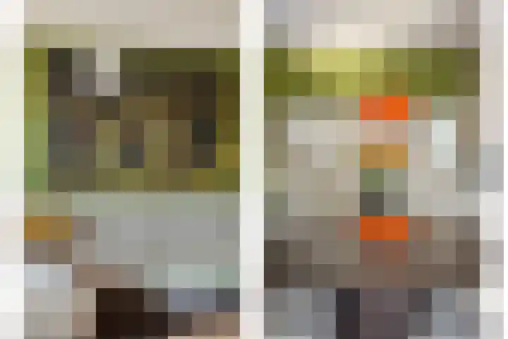 De Steven 5 Zaandam thumbnail 13