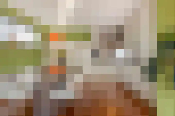 De Steven 5 Zaandam thumbnail 14