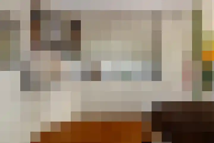 De Steven 5 Zaandam thumbnail 15