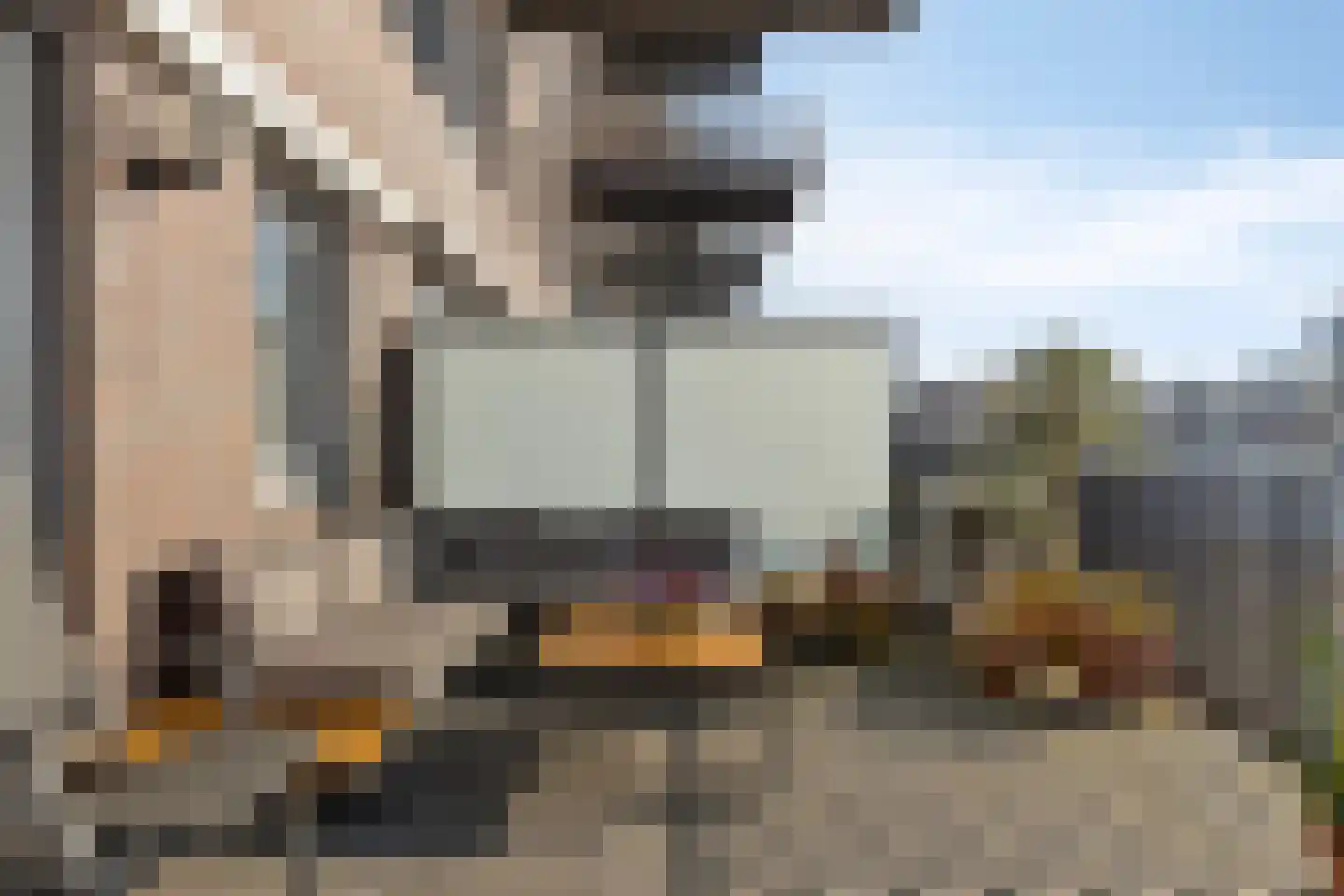 De Steven 5 Zaandam thumbnail 19