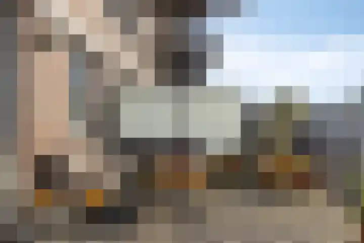 De Steven 5 Zaandam thumbnail 19