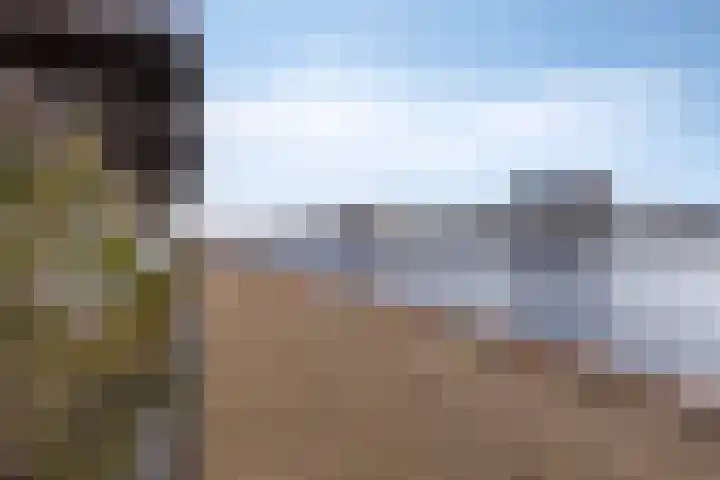 De Steven 5 Zaandam thumbnail 20