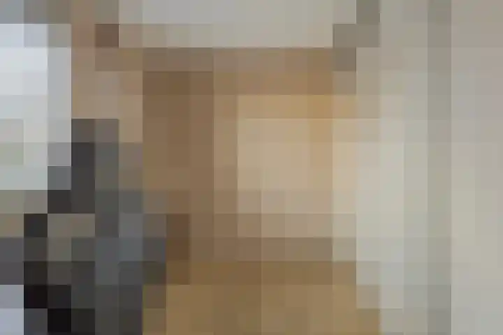De Steven 5 Zaandam thumbnail 23