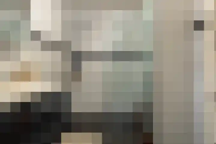 De Steven 5 Zaandam thumbnail 25