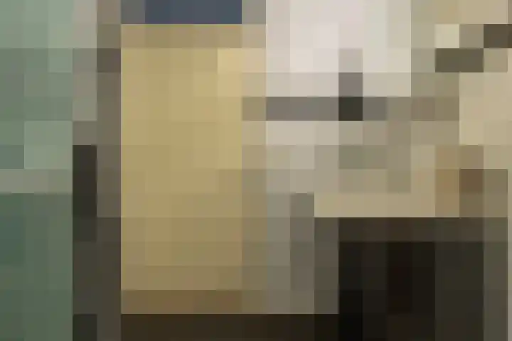 De Steven 5 Zaandam thumbnail 27