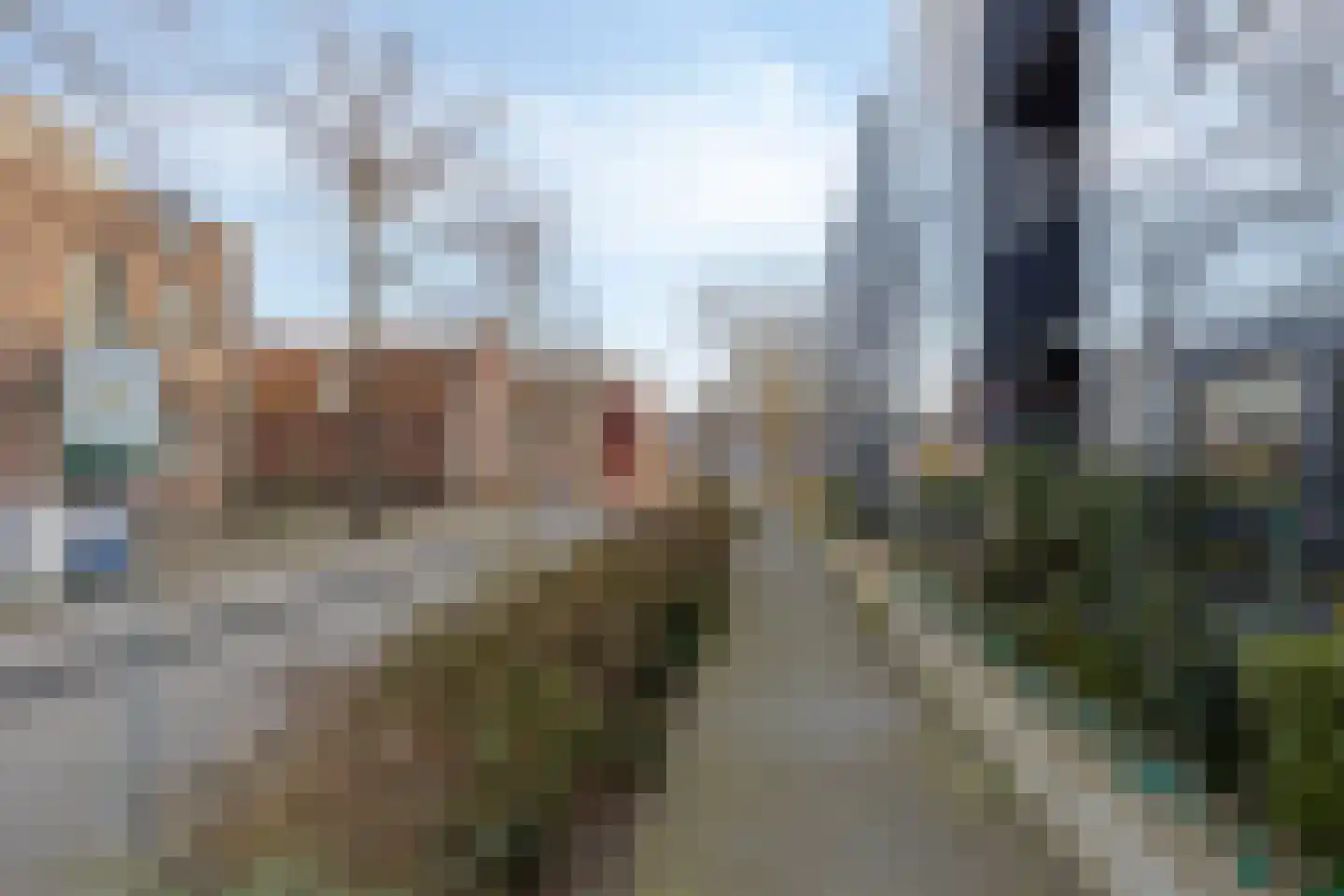 De Steven 5 Zaandam thumbnail 29