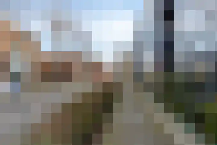 De Steven 5 Zaandam thumbnail 29