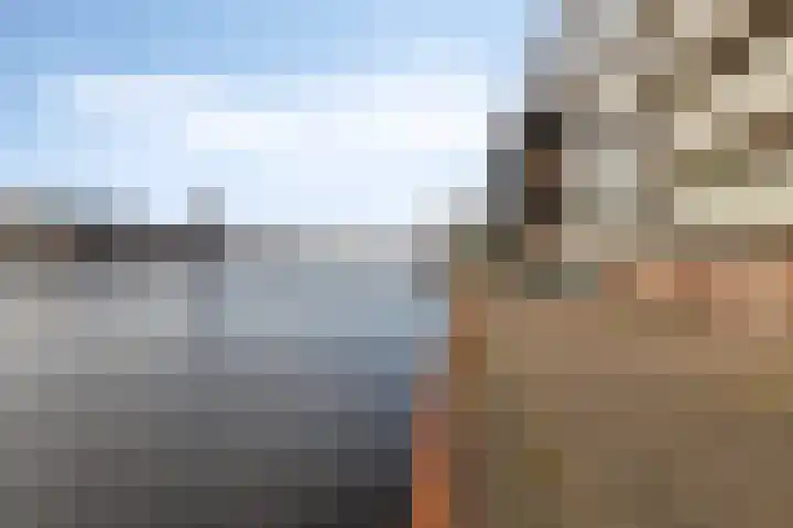 De Steven 5 Zaandam thumbnail 31