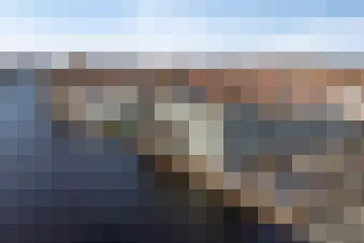 De Steven 5 Zaandam thumbnail 33