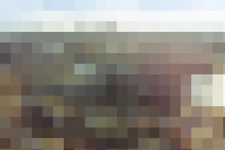 De Steven 5 Zaandam thumbnail 34