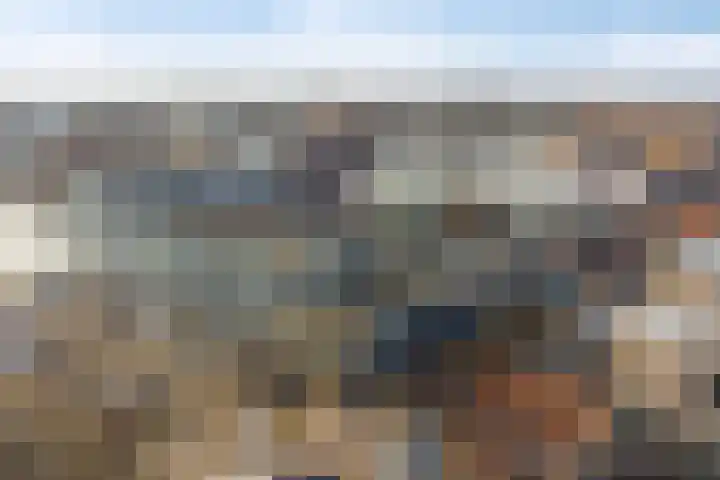 De Steven 5 Zaandam thumbnail 35