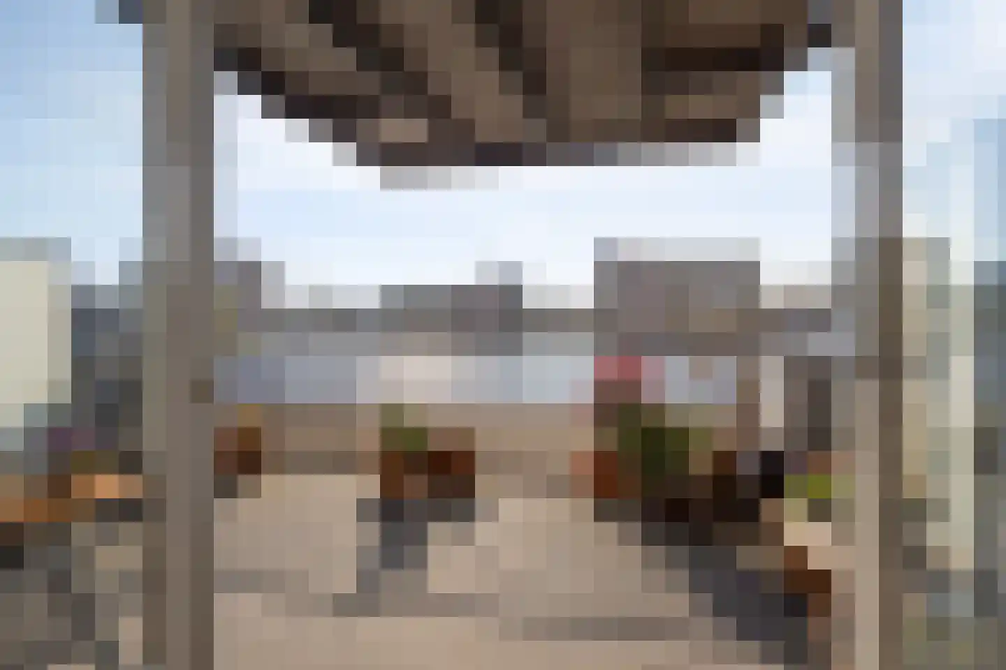 De Steven 5 Zaandam thumbnail 4