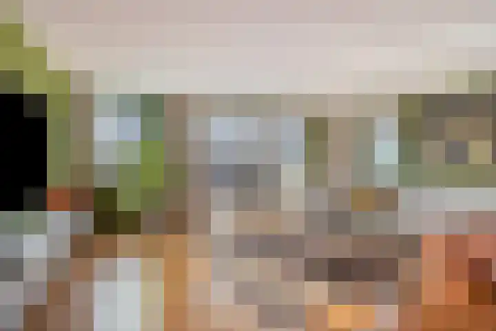 De Steven 5 Zaandam thumbnail 9