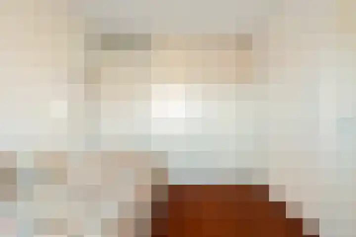 De Steven 59 Zaandam thumbnail 25
