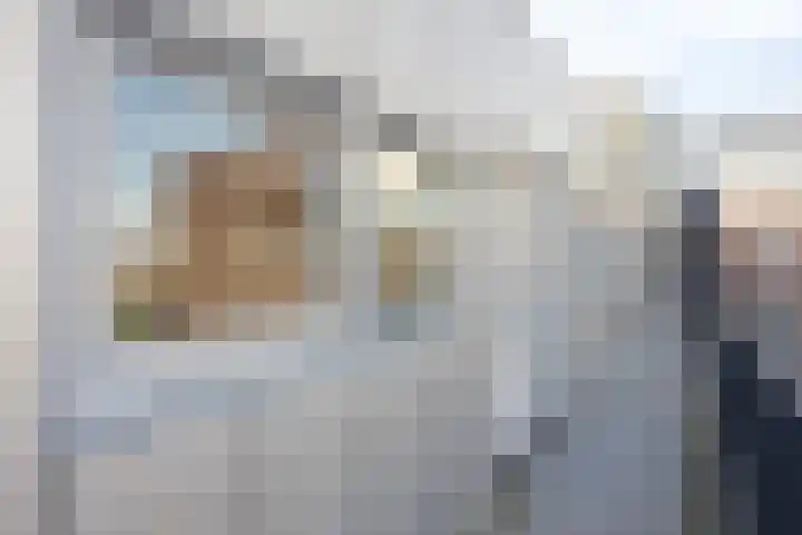 De Steven 59 Zaandam thumbnail 7