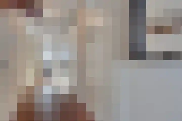 De Steven 59 Zaandam thumbnail 9