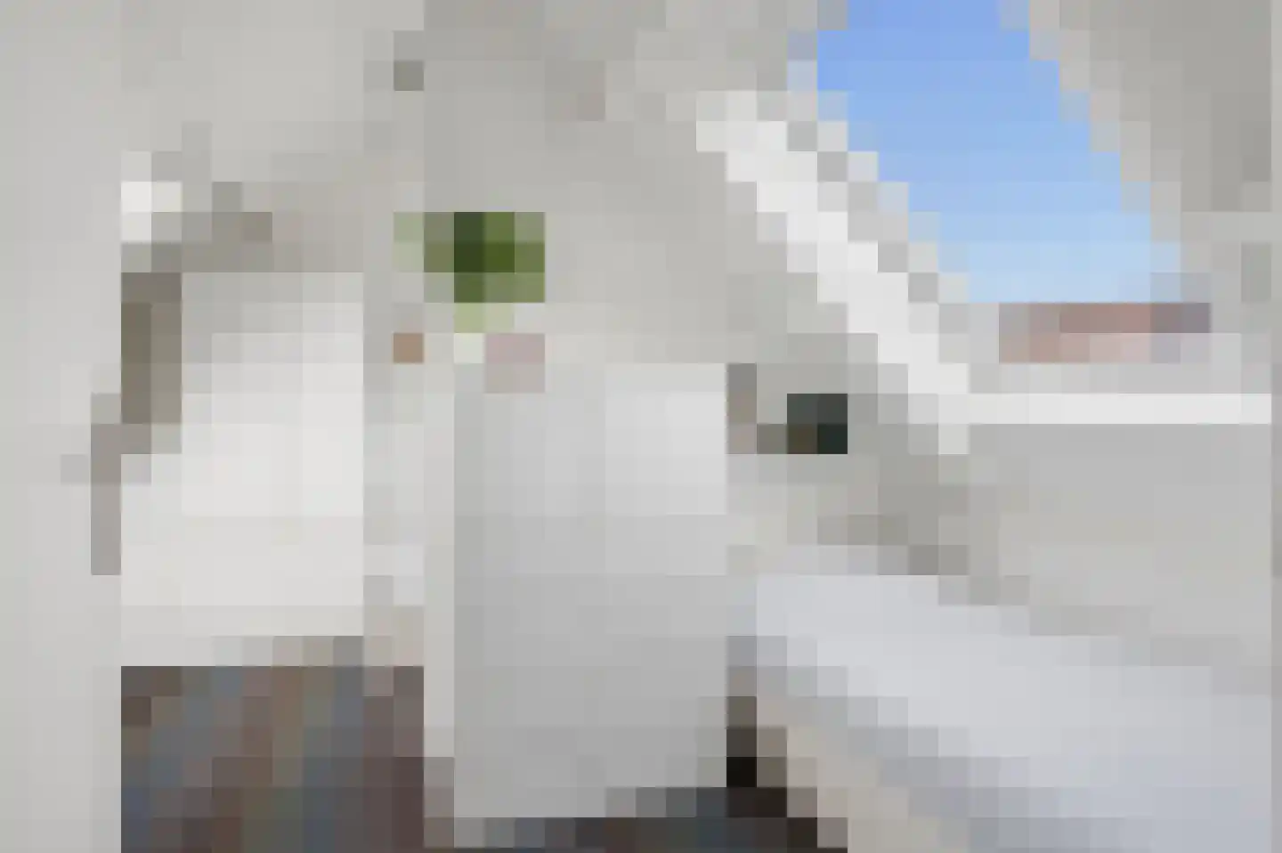 De Stichtse Rand 33 Rhenen thumbnail 25
