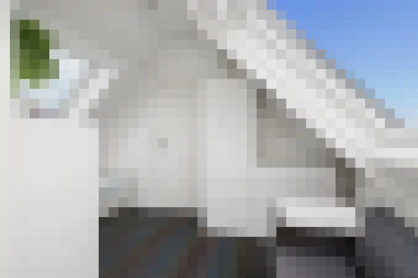 De Stichtse Rand 33 Rhenen thumbnail 27