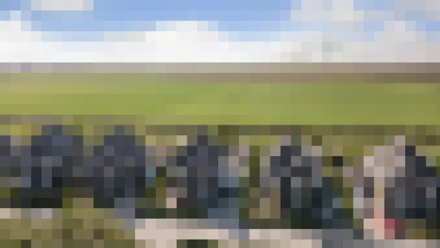 De Stijl 9 Dronten thumbnail 40