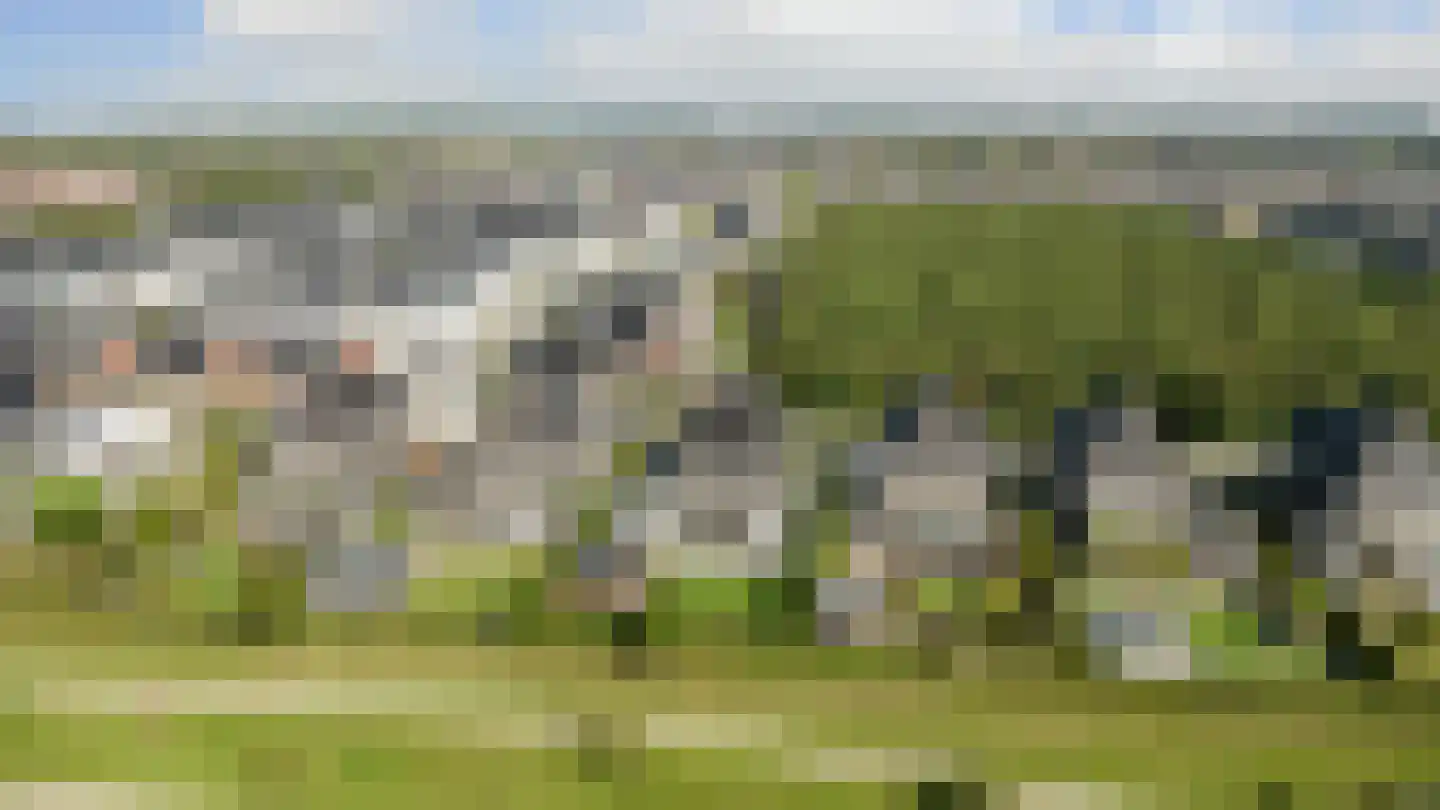 De Stijl 9 Dronten thumbnail 42