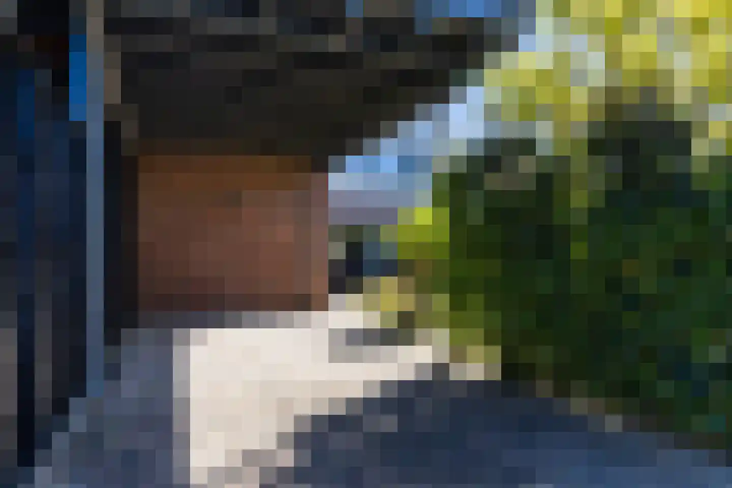 De Stille Tuin 36 Apeldoorn thumbnail 37