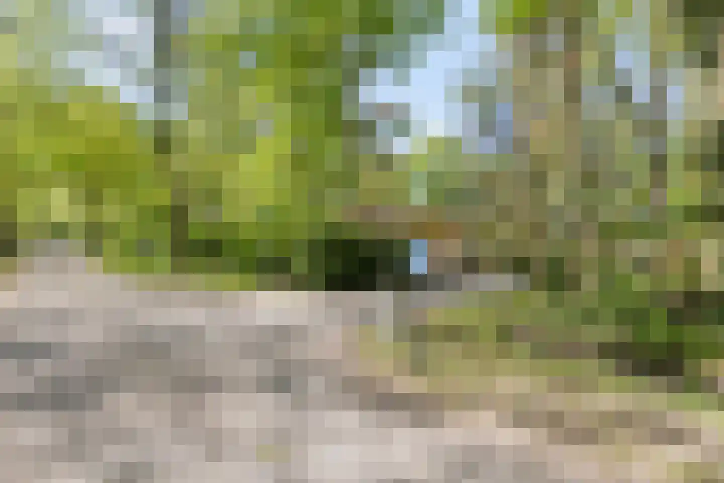 De Stille Wille 115 Oost West en Middelbeers thumbnail 10