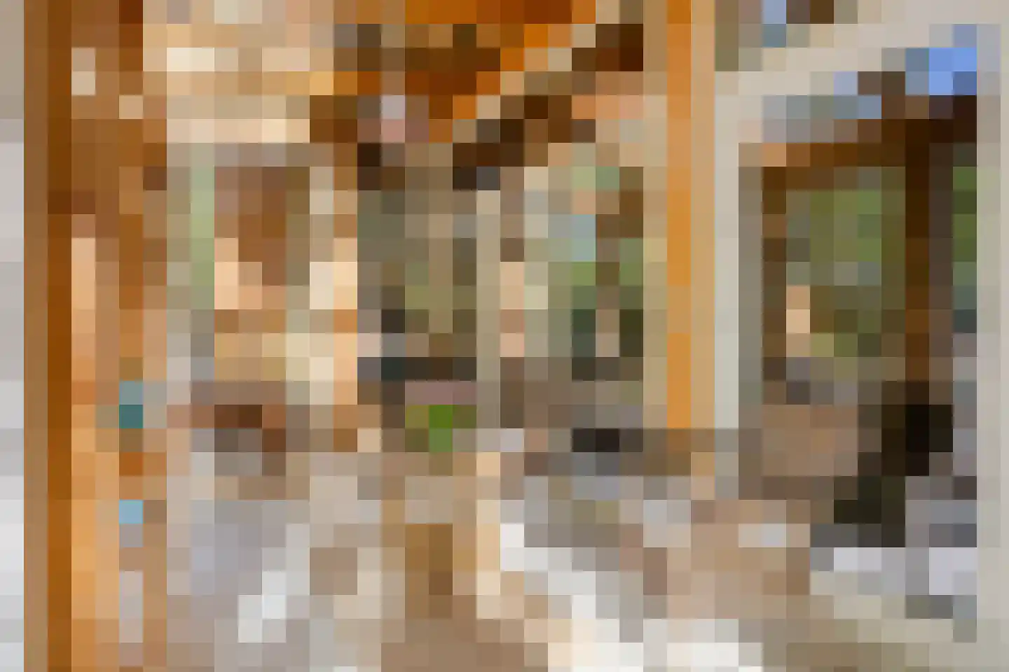 De Stille Wille 115 Oost West en Middelbeers thumbnail 21