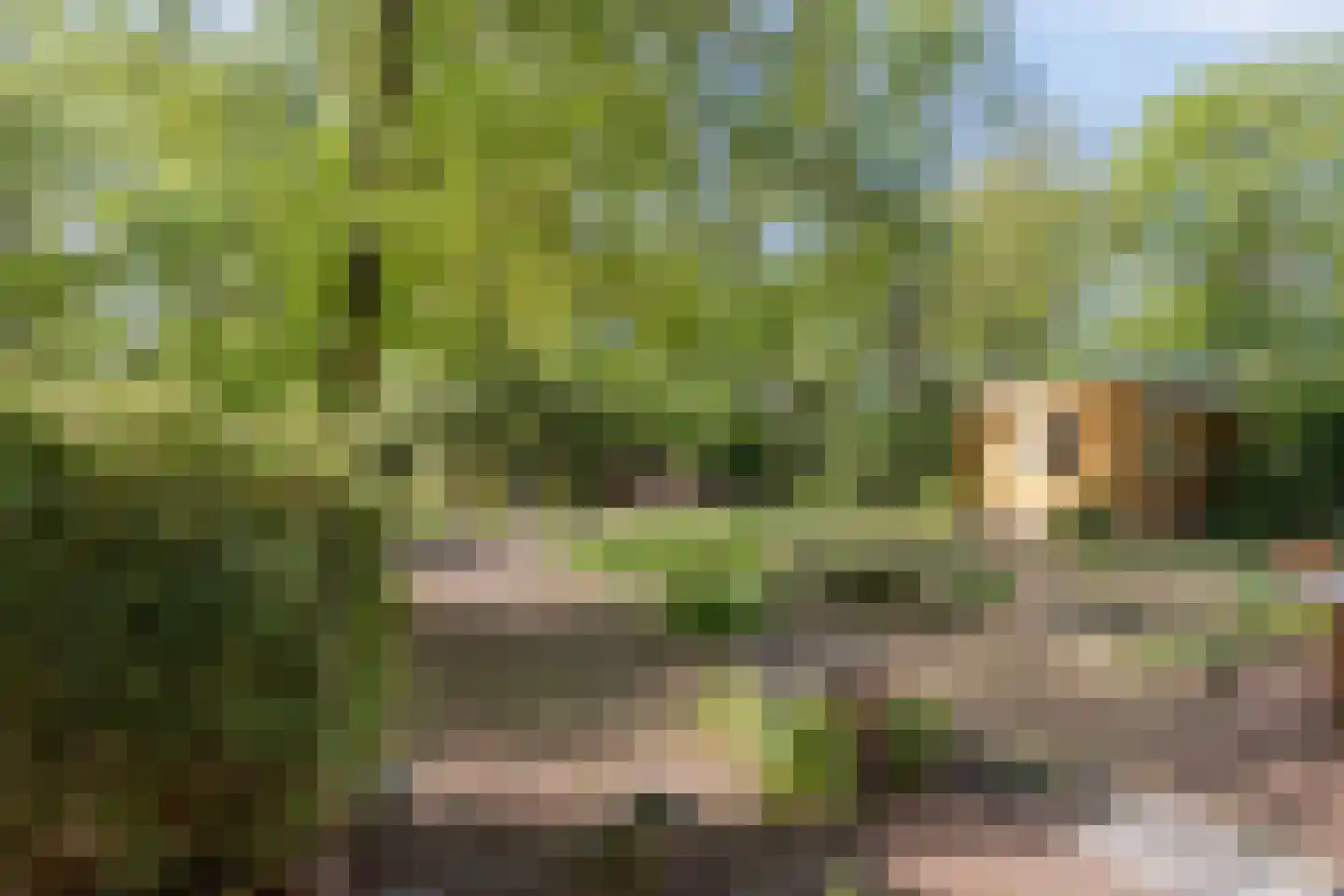 De Stille Wille 115 Oost West en Middelbeers thumbnail 27