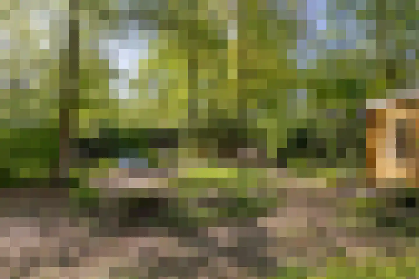 De Stille Wille 115 Oost West en Middelbeers thumbnail 28