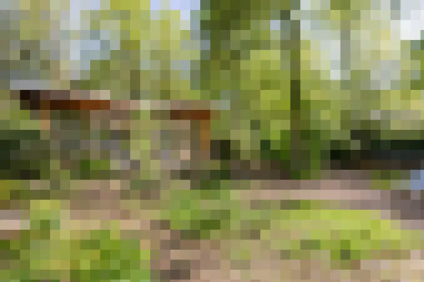 De Stille Wille 115 Oost West en Middelbeers thumbnail 29