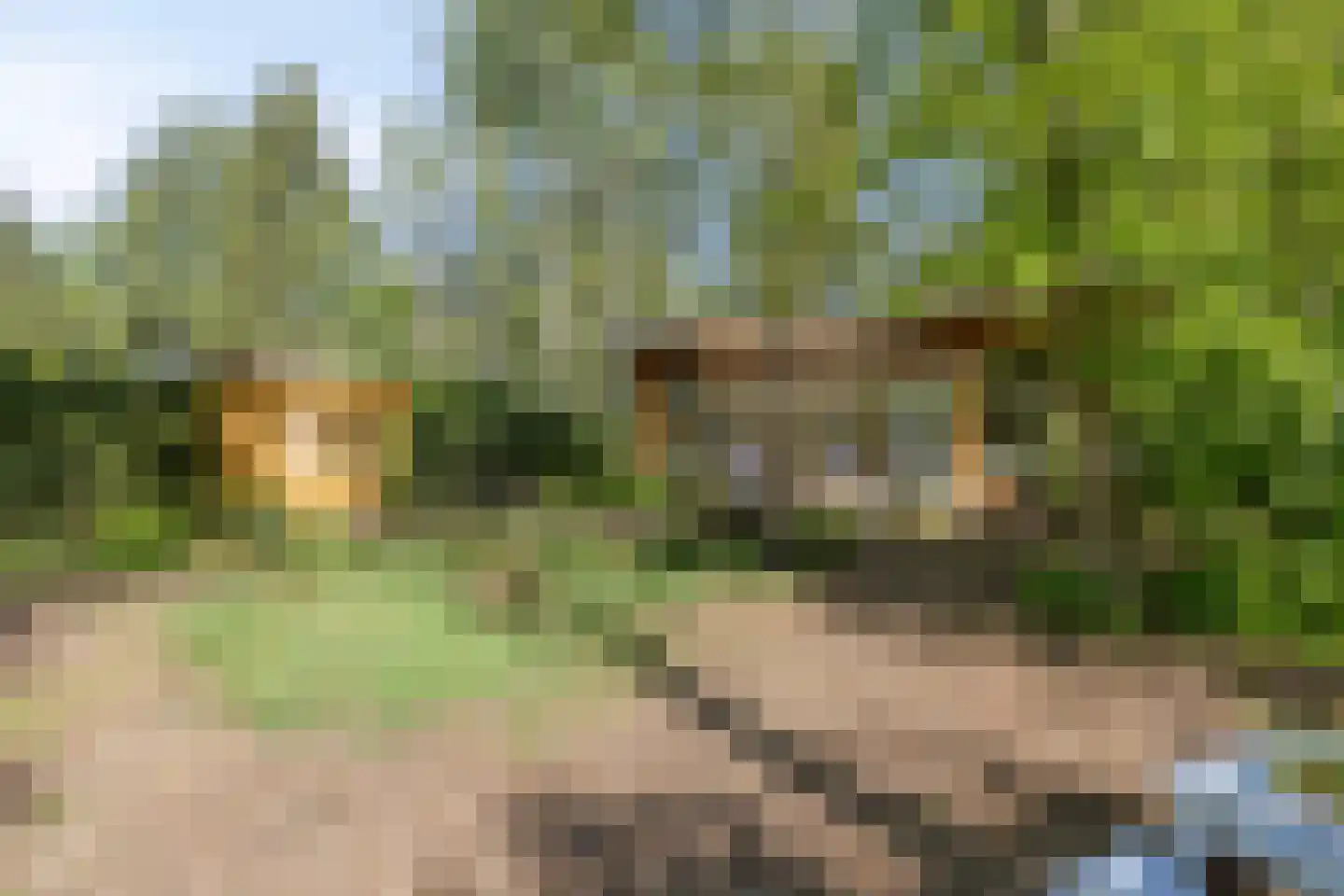 De Stille Wille 115 Oost West en Middelbeers thumbnail 30