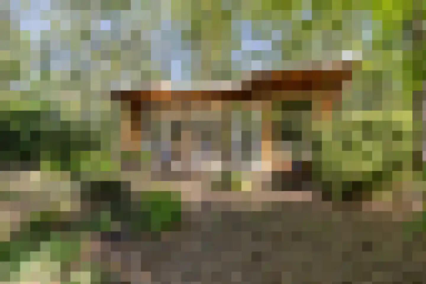 De Stille Wille 115 Oost West en Middelbeers thumbnail 31