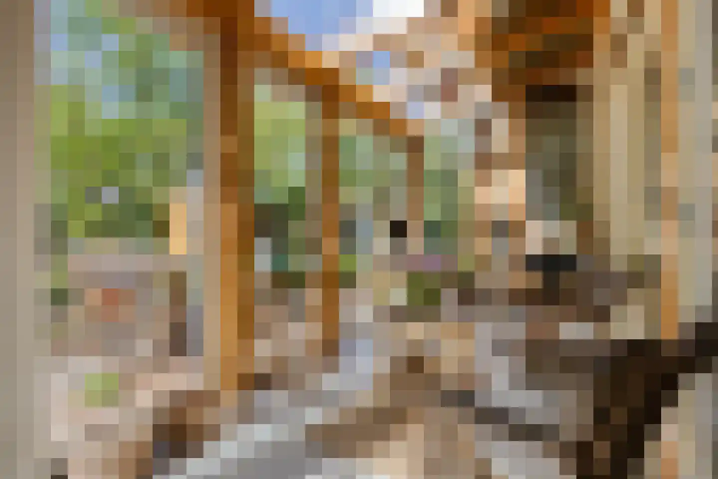 De Stille Wille 115 Oost West en Middelbeers thumbnail 4
